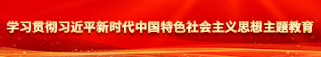 大屌操小穴内射在线观看学习贯彻习近平新时代中国特色社会主义思想主题教育